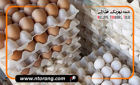نرخ جدید و نجومی هر شانه تخم‌مرغ در بازار